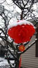 2010年的第一场大雪 017