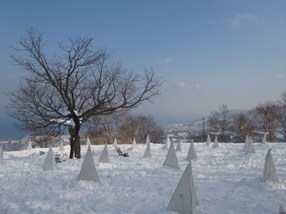 北海道的雪 183