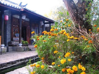 束河 怒放