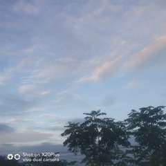 971733