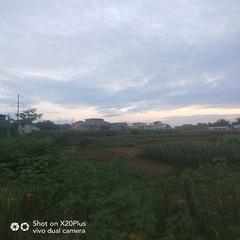 971744