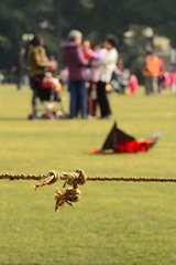 DSC_8878.jpg