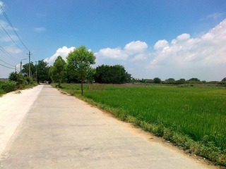 20110613429.jpg