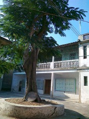 20111104179.jpg