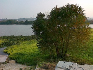 20120103463.jpg