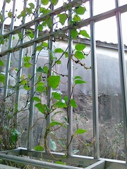 20120104472.jpg