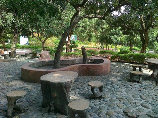 20120117604.jpg