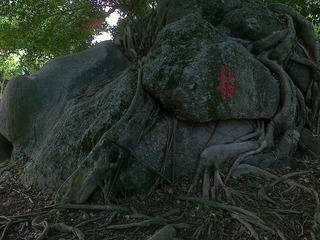 20120117605.jpg