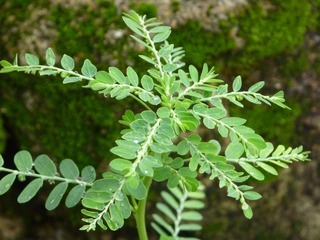P1000035.JPG
