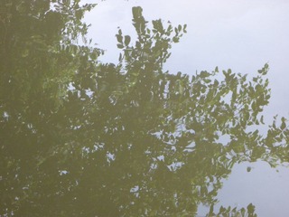 P1020075.JPG