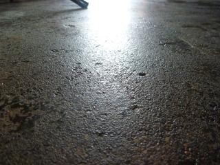 P1020015.JPG