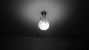 IMG_1324.JPG
