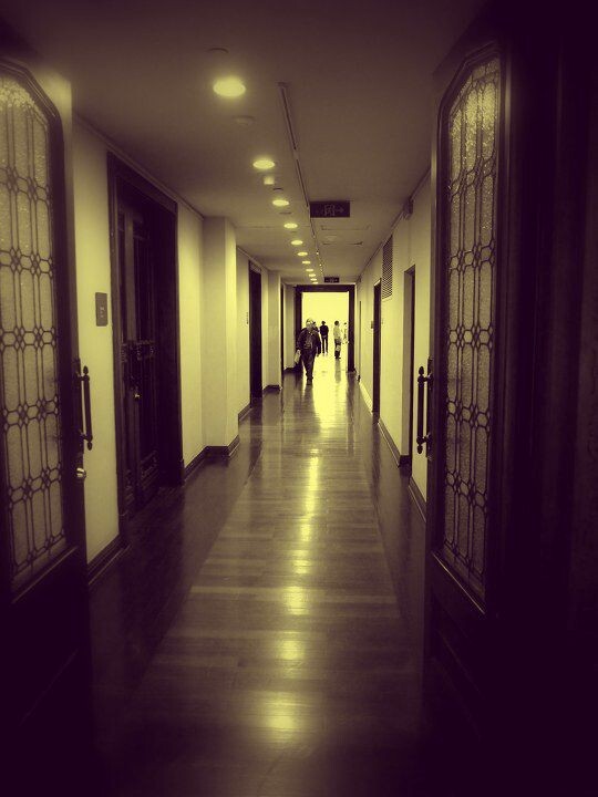 P1000841<br />
