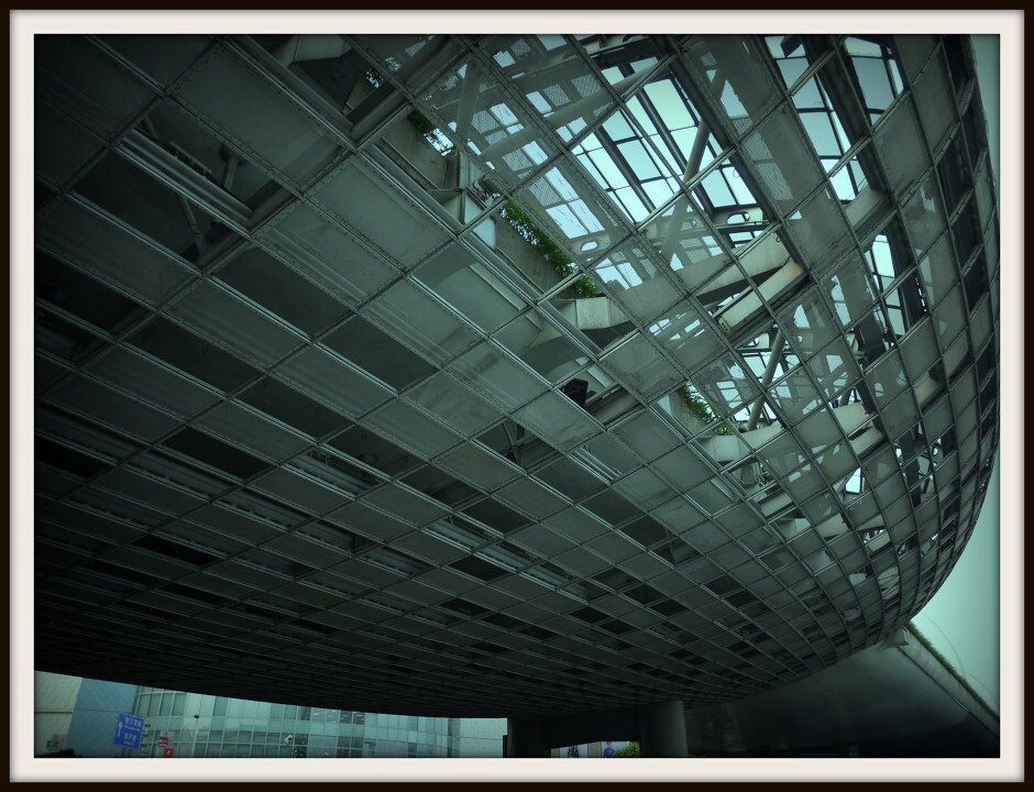 P1010856<br />
