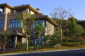 IMGP0201.JPG