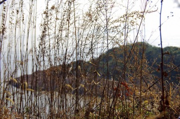 IMGP0218.JPG