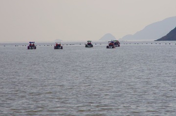IMGP0237.JPG