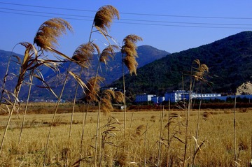 IMGP0281.JPG