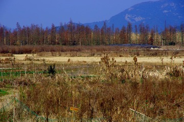 IMGP0288.JPG
