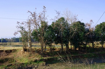 IMGP0291.JPG