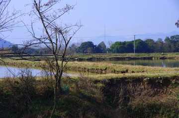 IMGP0292.JPG