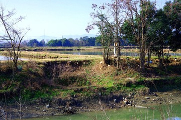 IMGP0293.JPG