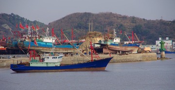 IMGP0368.JPG