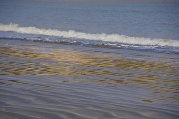 IMGP0395.JPG