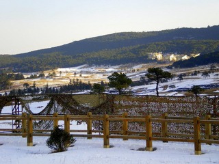 IMGP2651.JPG