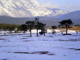 IMGP2652.JPG