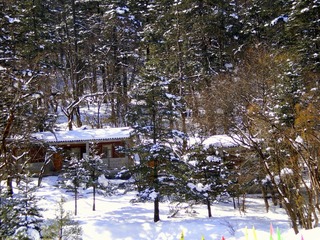 IMGP2666.JPG