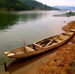 PA032846.JPG