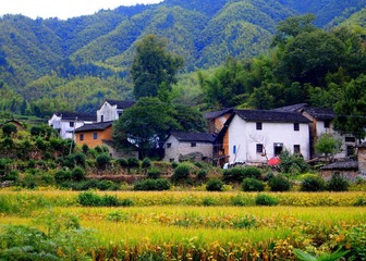 PA032869.JPG