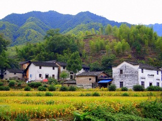 PA032870.JPG