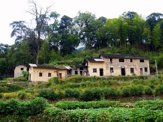 PA032890.JPG