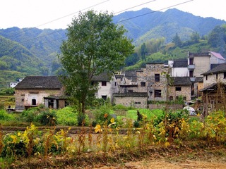 PA032895.JPG