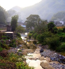 PA042922.JPG