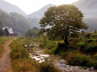 PA042934.JPG