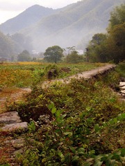 PA042939.JPG