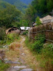 PA042942.JPG