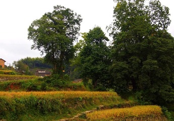 PA042975.JPG