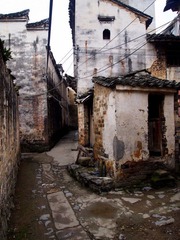 PA053105.JPG
