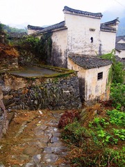 PA053053.JPG