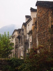 PA053060.JPG