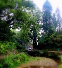 PA053038.JPG