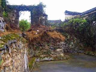 PA053052.JPG