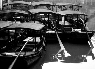 IMGP0089-1.jpg