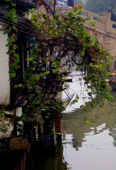 IMGP0090.JPG