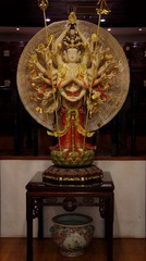 IMGP0910.JPG
