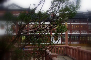 IMGP0824.JPG